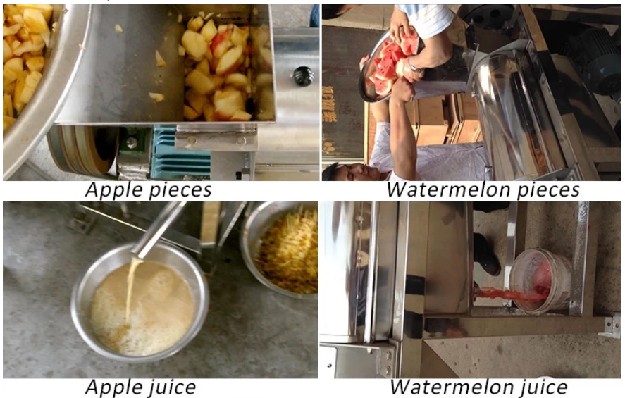 Automatic juicer machine for Small Business