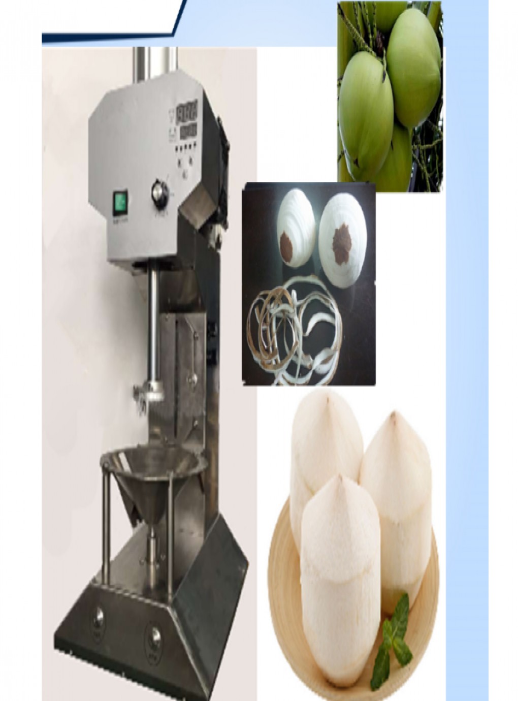Coconut Peeling Machine