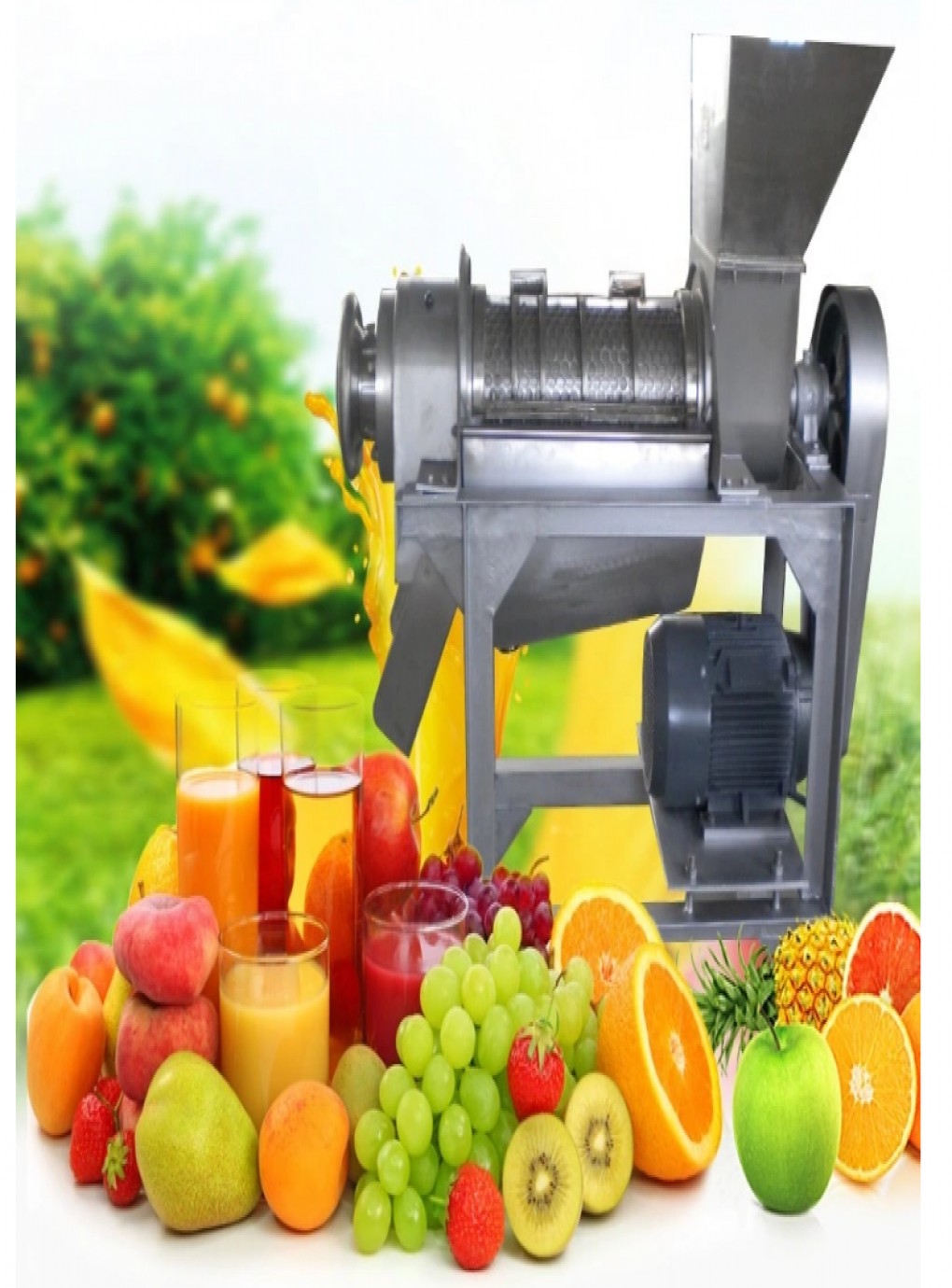 Automatic juicer machine for Small Business