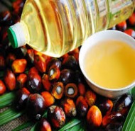 Palm Oil Production Line
