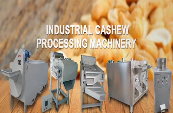 Cashew Processing machines
